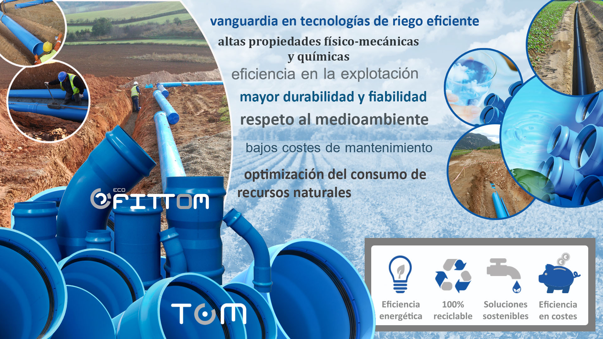 molecor copia